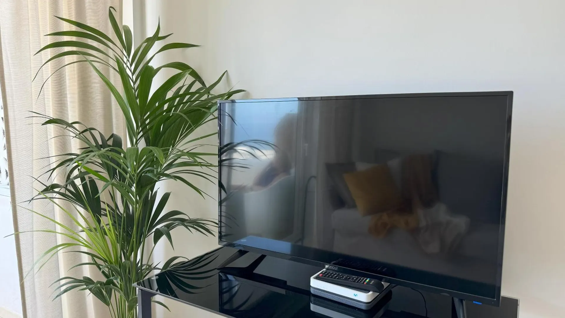 Flor De Pascua Los Gigantes Acantilado de los Gigantes Apartment